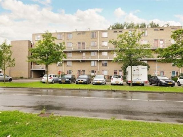 Fivelingo ONG, Utrecht