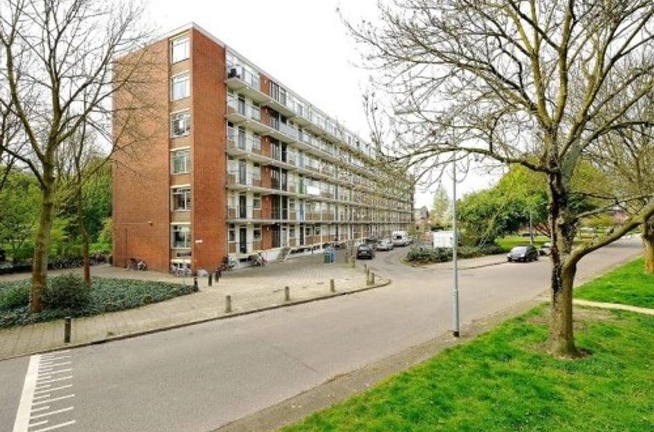 Rijnbeekstraat ONG