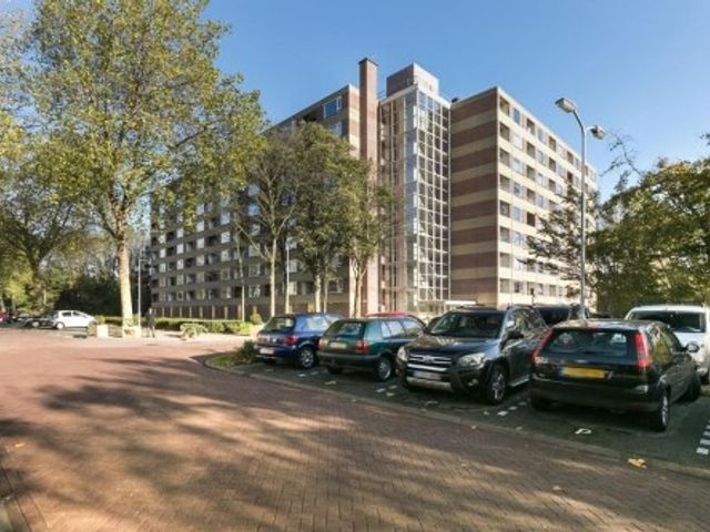 Fluitekruidweg ONG, Zaandam