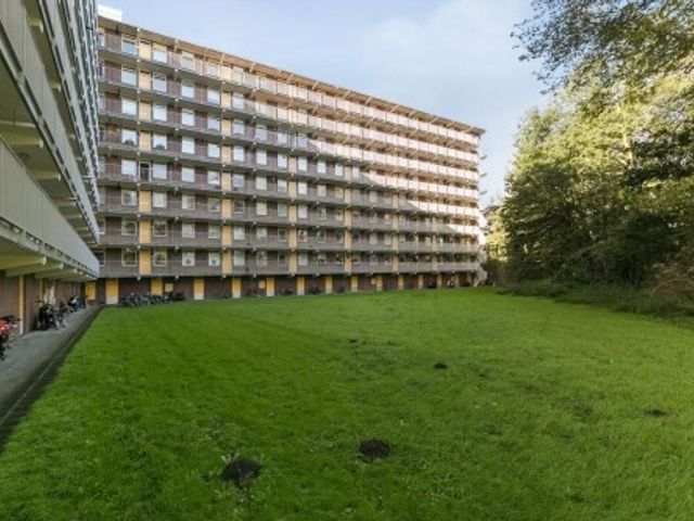 Fluitekruidweg ONG, Zaandam