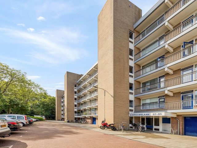 Boerhaavelaan 101, Leiden