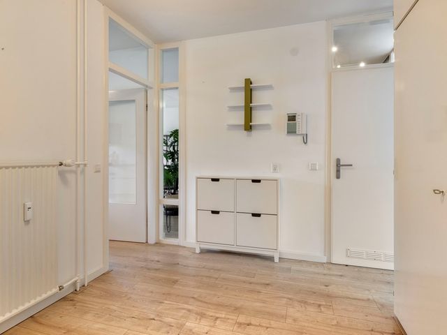 Boerhaavelaan 101, Leiden