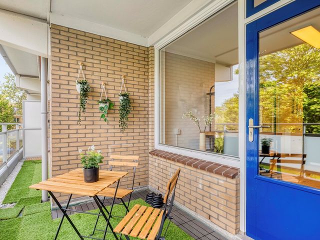 Boerhaavelaan 101, Leiden