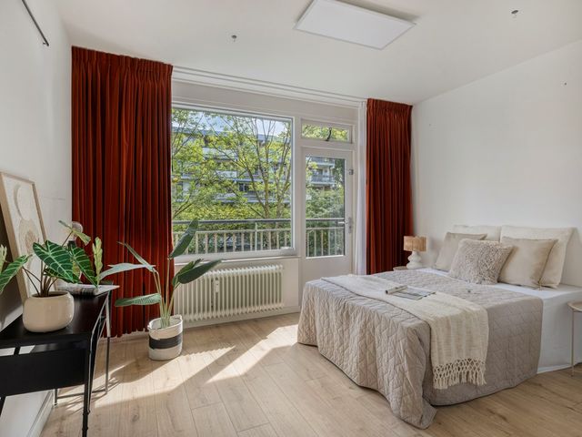 Boerhaavelaan 101, Leiden