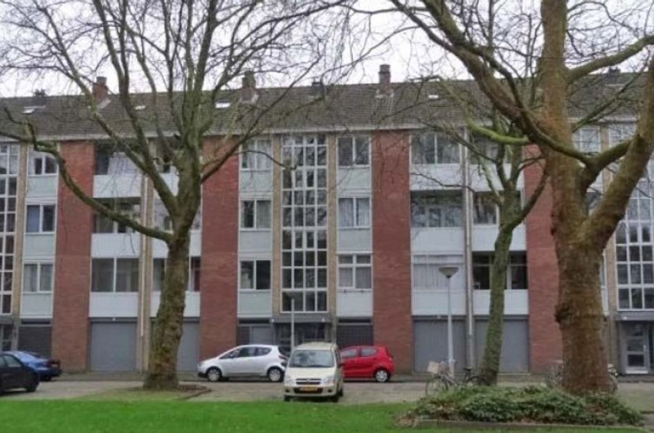 Grote Ruwenberg 