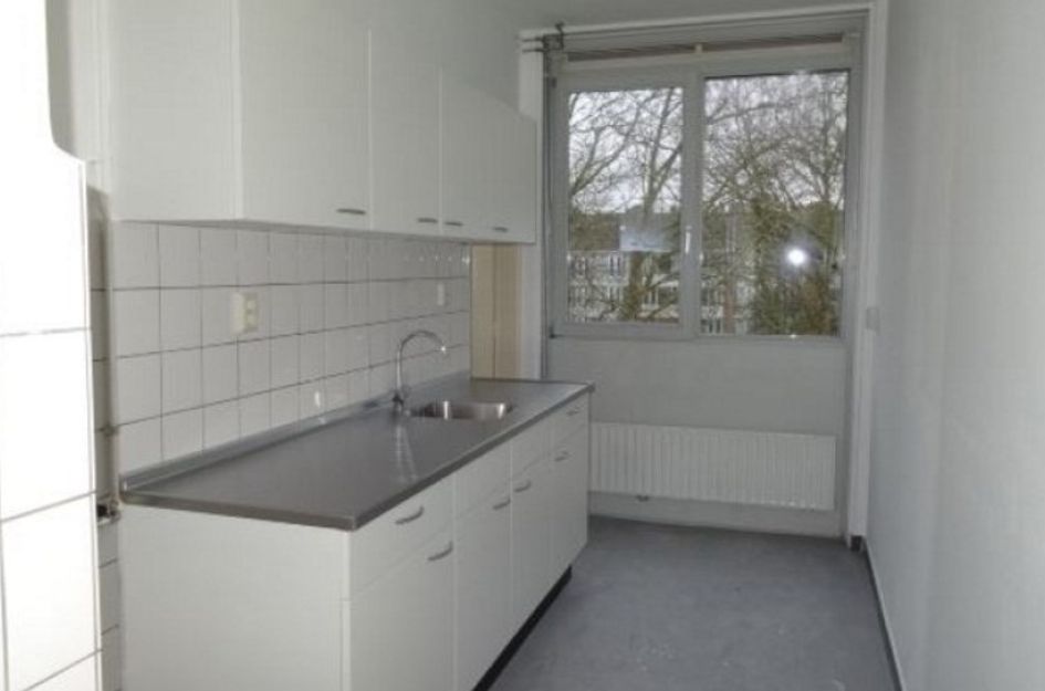 Grote Ruwenberg 
