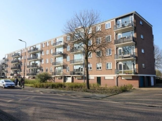 Maassingel , 's-Hertogenbosch