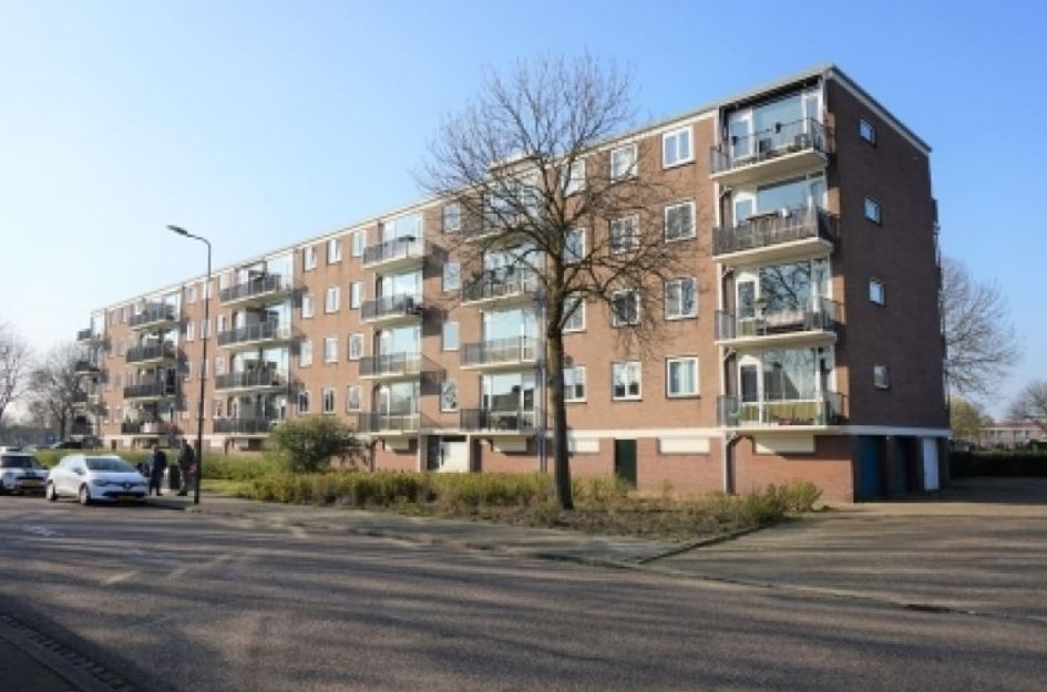 Maassingel 