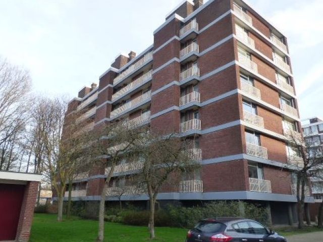 Kornalijnhorst , 's-Gravenhage