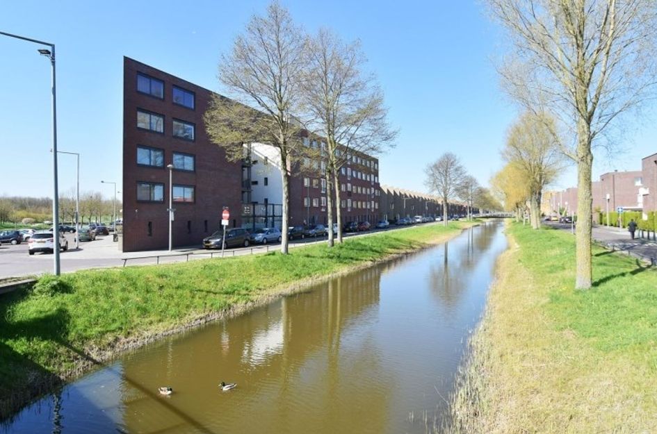 Snoekbaarssingel 