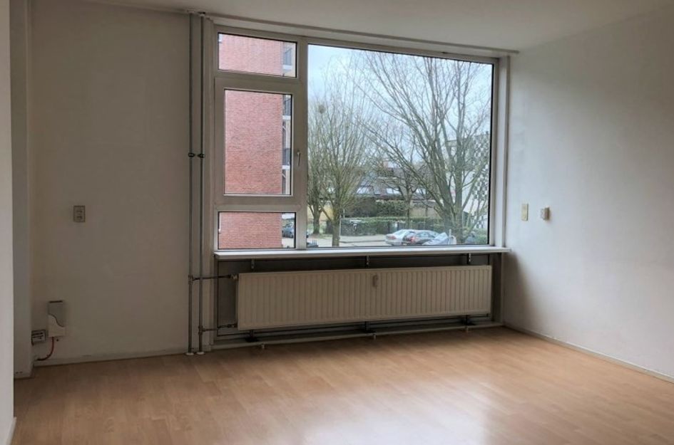 Banckertlaan 