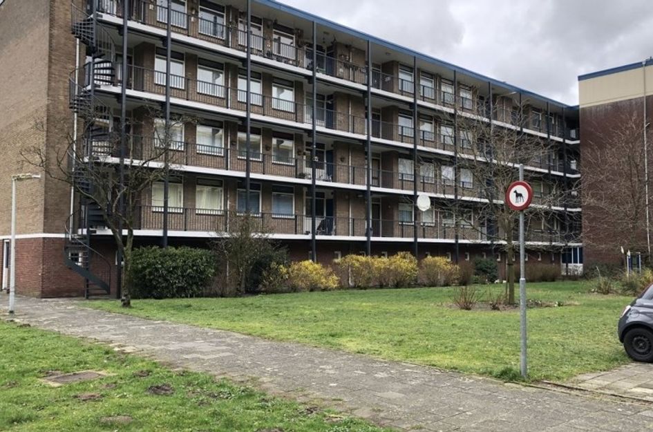 Banckertlaan 