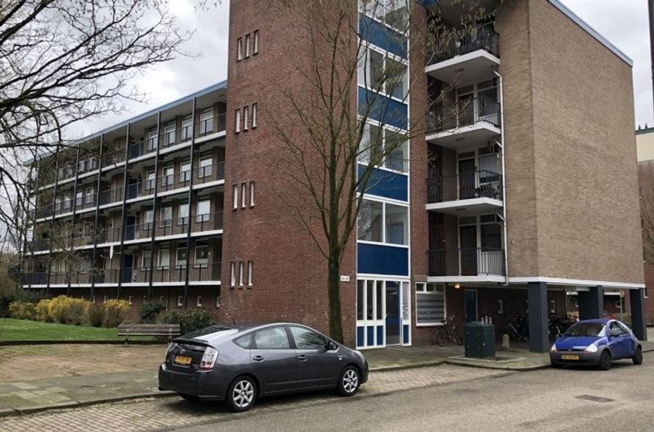 Banckertlaan 