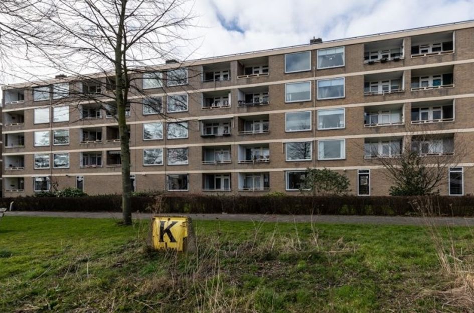 Paramaribostraat 