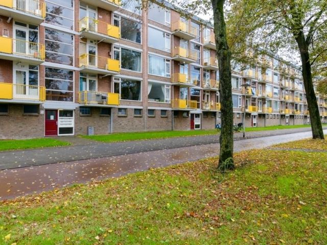 Moezeldreef , Utrecht
