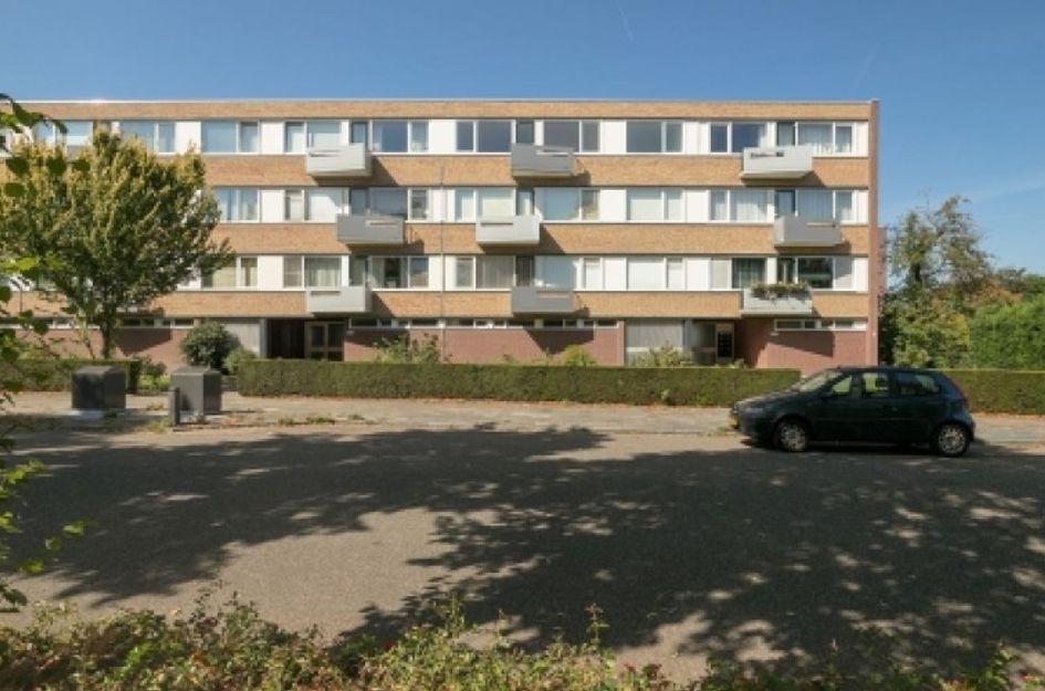 Hogeschoorweg 