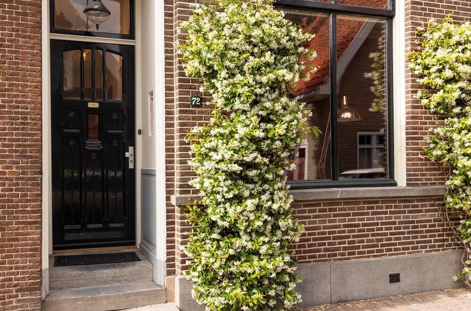 Rechtestraat 72