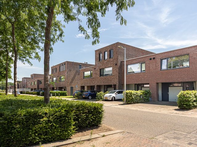 Potbeker 50, Cuijk