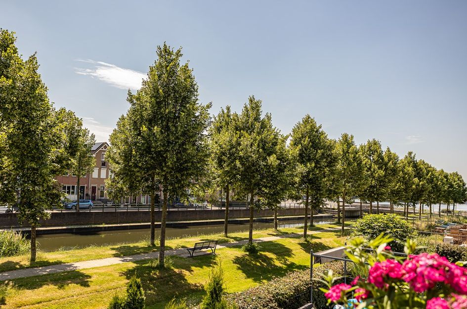 Potbeker 50