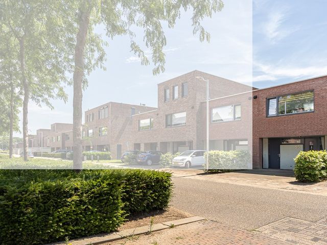 Potbeker 50, Cuijk
