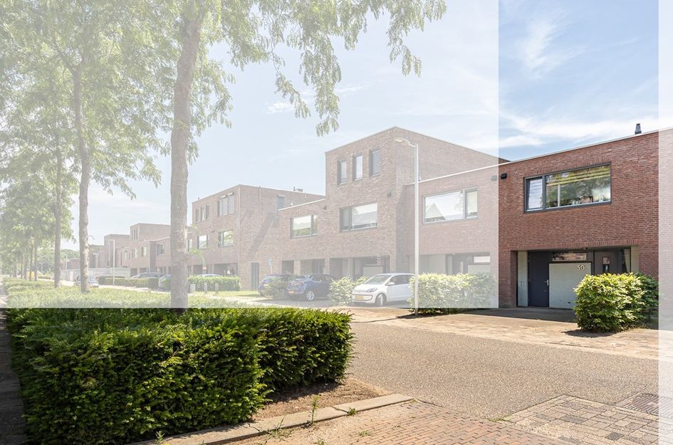 Potbeker 50