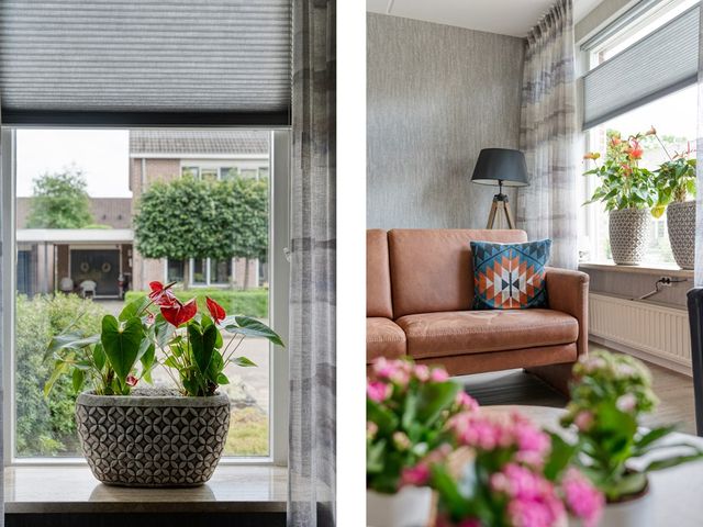 Ganzebloem 9, Hardenberg