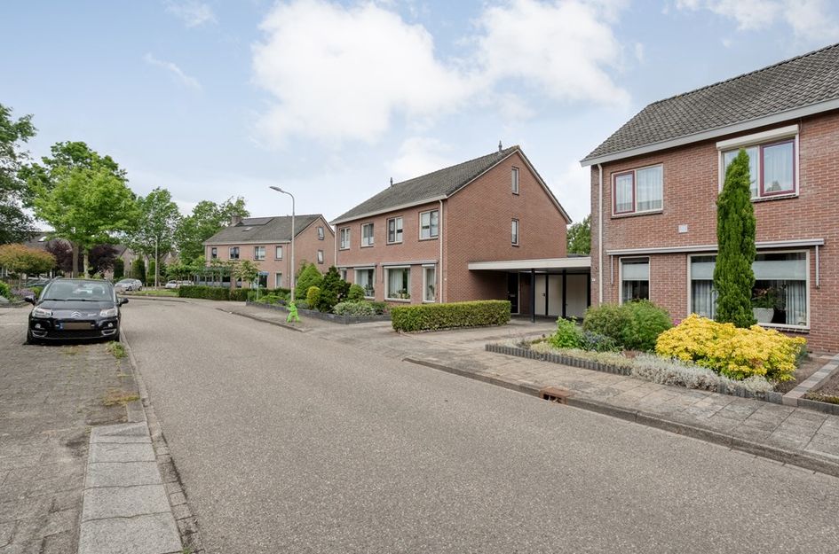 Ganzebloem 9