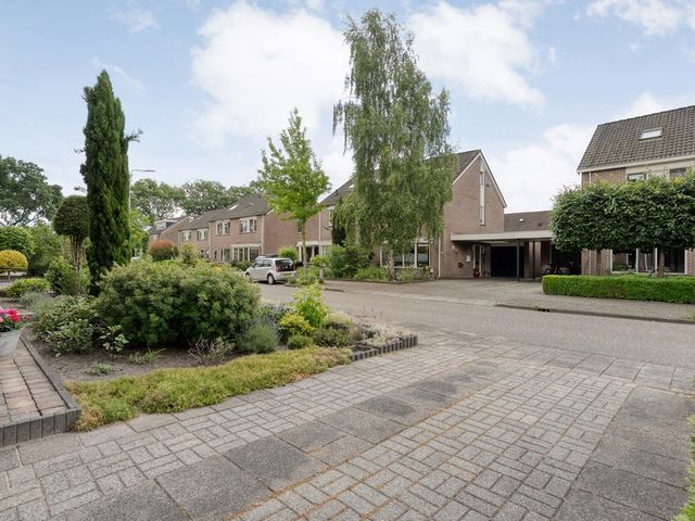 Ganzebloem 9, Hardenberg