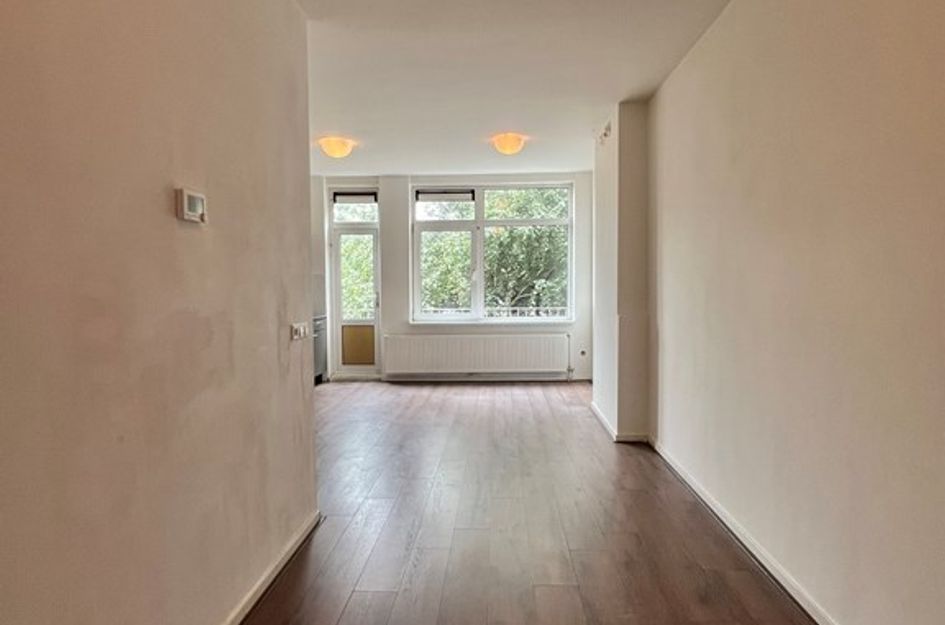 Frederikstraat 540