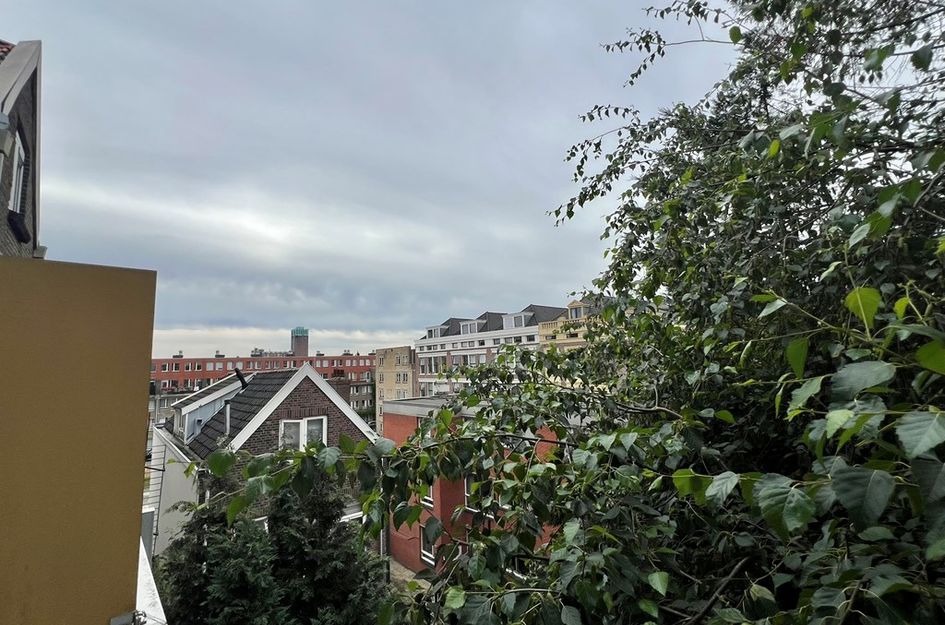 Frederikstraat 540