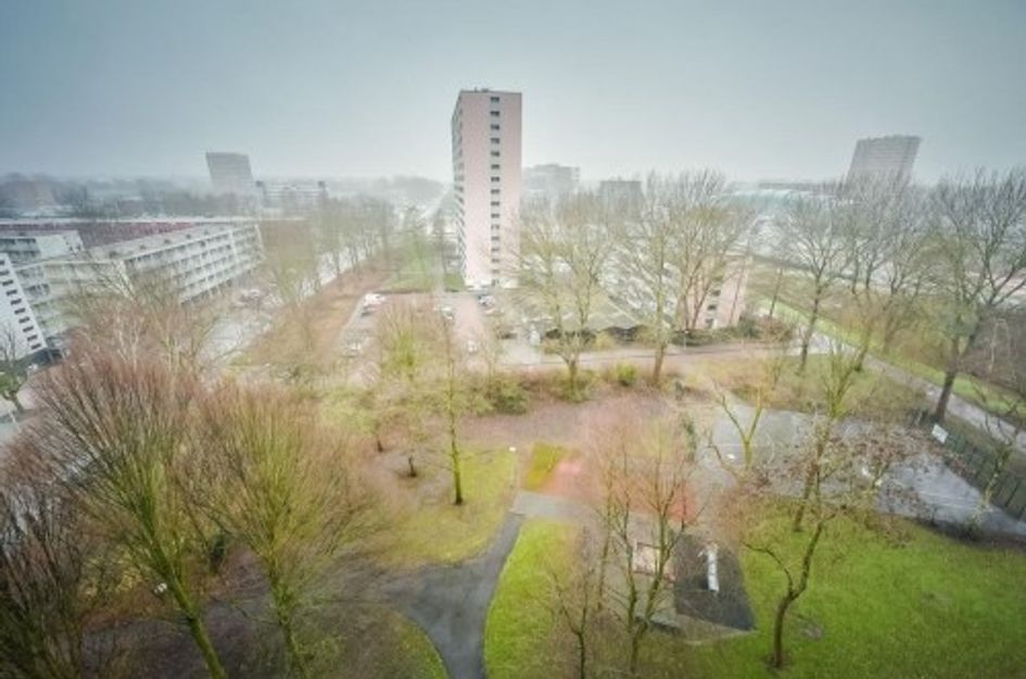 H. Cleyndertweg ONG