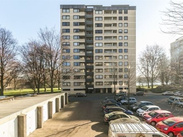 Vrijzicht ONG, Amsterdam