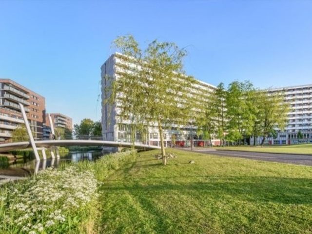 Grubbehoeve ONG, Amsterdam