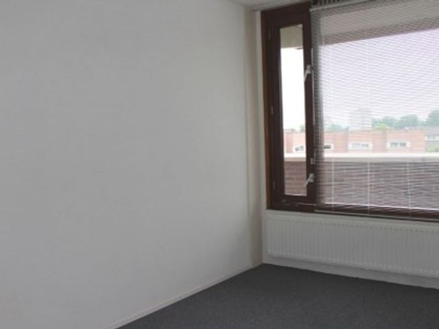 Pieter Calandlaan ONG, Amsterdam