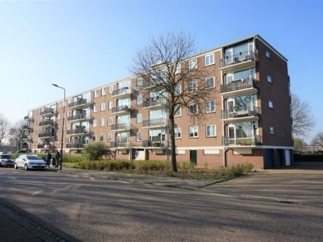 Maassingel ONG, 's-Hertogenbosch