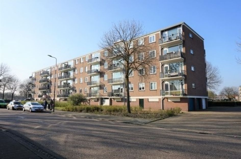 Maassingel ONG