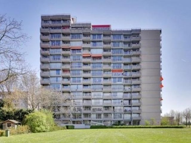 Senecalaan ONG, 's-Hertogenbosch