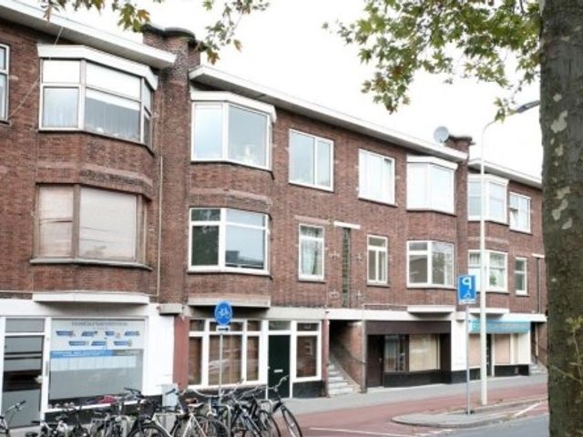 Zuiderparklaan ONG, 's-Gravenhage