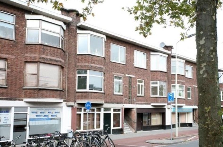 Zuiderparklaan ONG