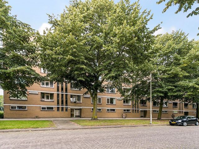 Jacob van Campenweg , Rotterdam