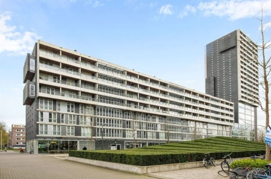 Professor de Moorplein ONG