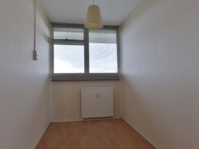 Perim ONG, Zaandam