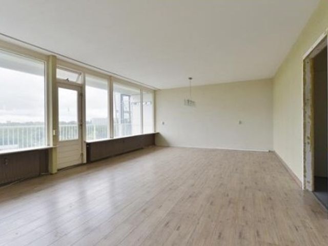 Perim ONG, Zaandam