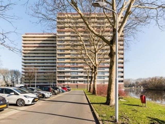 Oost Dorsch ONG, Zaandam
