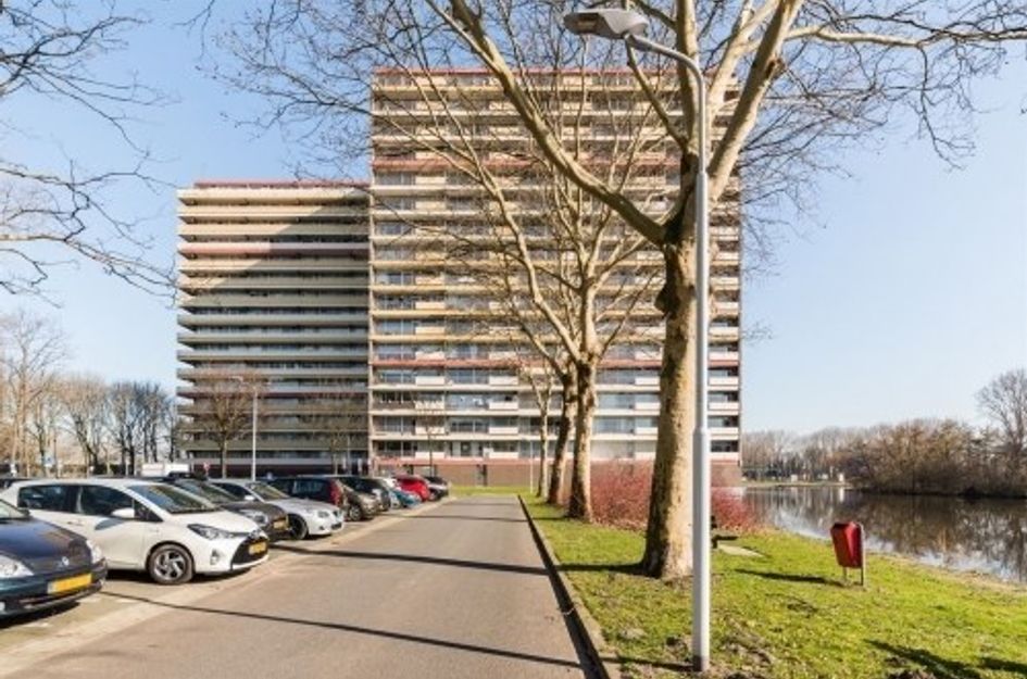 Oost Dorsch ONG