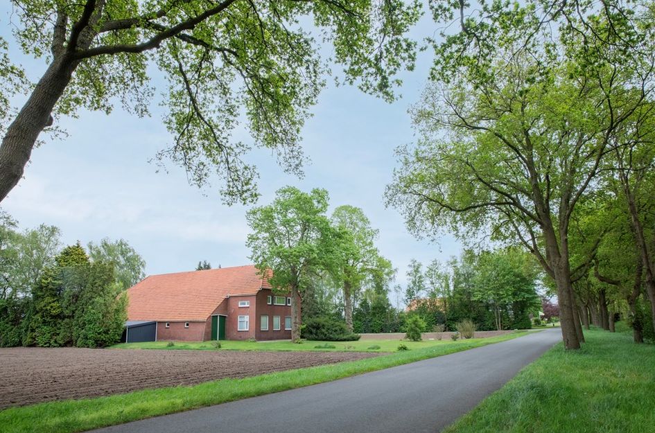 Wedderstraat 84