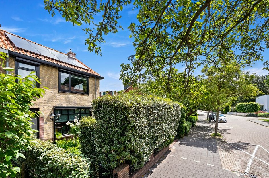 Willem de Zwijgerstraat 41