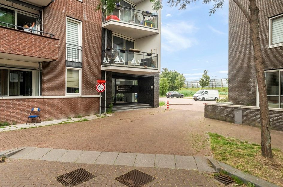 Zilverstein 99