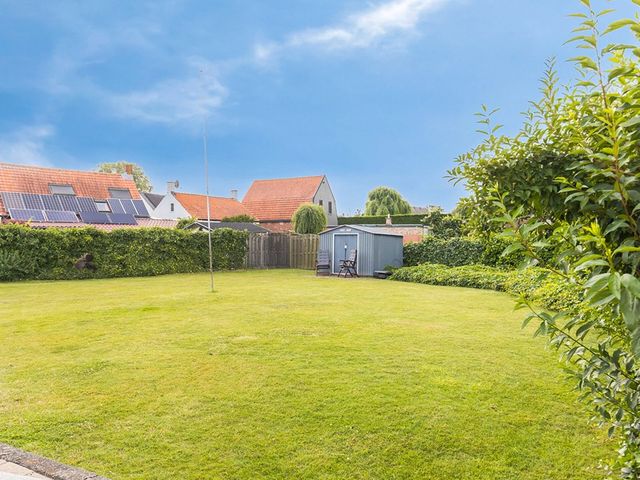 Duivenhoeksestraat 37, Graauw