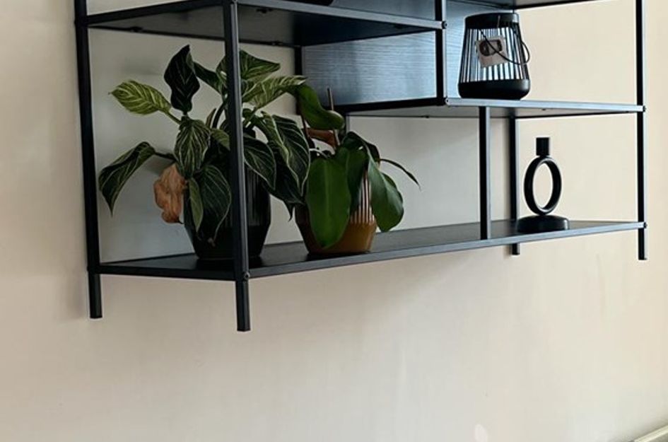 Zoutmanstraat 87Fir